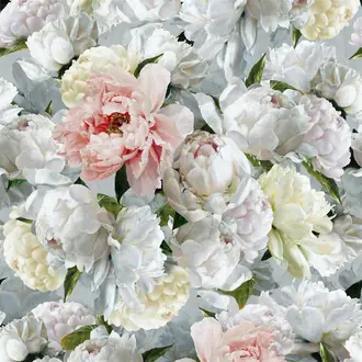 Peonia Grande PDG1102-01