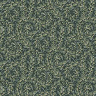 Wild Ferns 2258