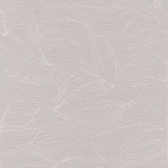 Alula 7436 02 12
