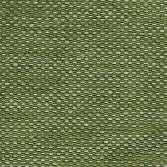 Tartuffe NCF4311-06