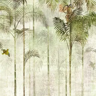 Jungle DGWIL1011