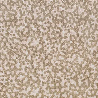 Charm K5273-01