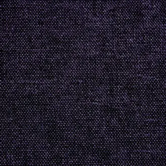 Savoy Violet
