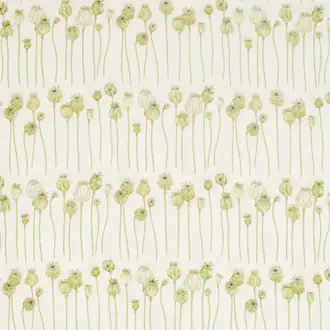 Poppy Pods 226431