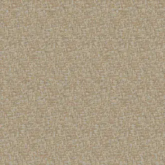 Ambre MO01800