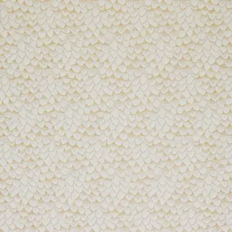 Ecaille De Chin 4254-06