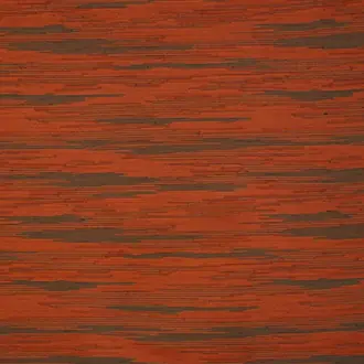 Praire Ikat JT013956-007