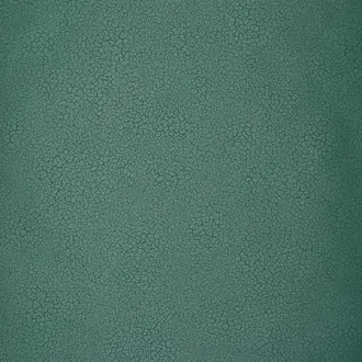 Raku EDM10