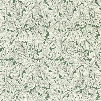 Acanthus W0175-01