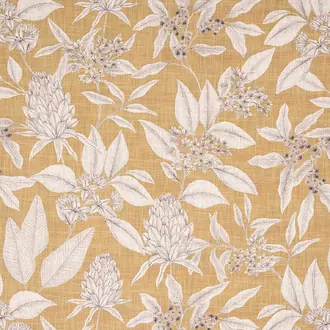 Holyrood Ochre