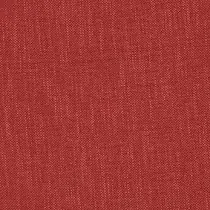 Delano 76 Red rose