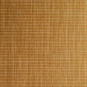 Vinyl Shine On Golden Glaze 7279