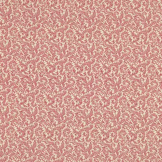 Le Grand Corail Vermicule B081C001