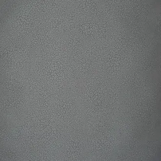 Raku EDM11