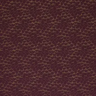 Ecaille De Chin 4254-08