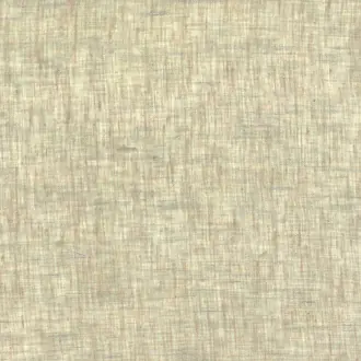 Illusion 300 25956855