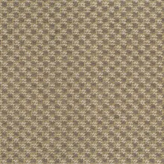Dune 17312-001