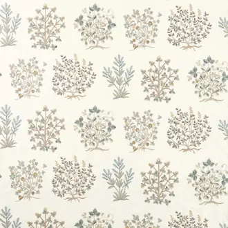 Thyme Walk 237616