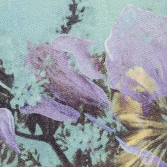 Botanique 3459-01