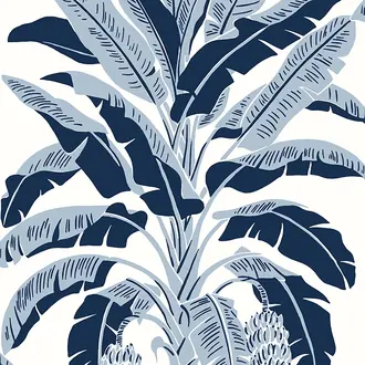 Banana Tree T13915