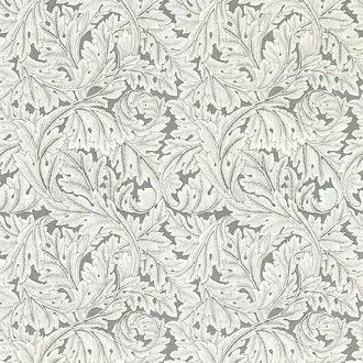 Acanthus W0175-02