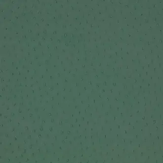 Ostrich Pine Green