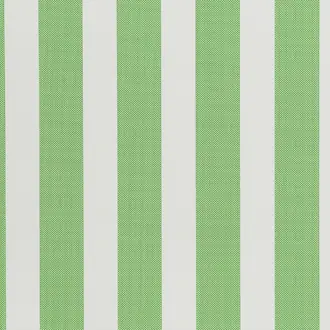 Dot Stripe Picnic Green W3322-3