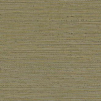 Zostera 75972242