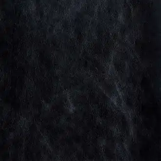Roma 05 Black