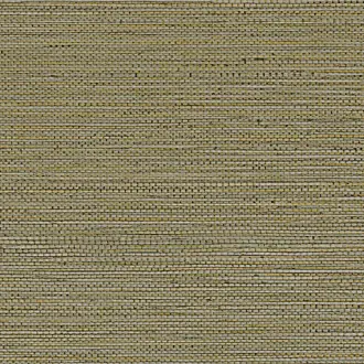 Zostera 75972242