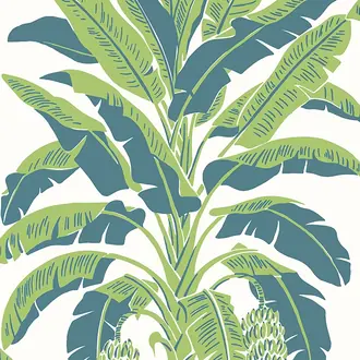 Banana Tree T13918