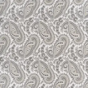 Kathak Paisley PW78018 1