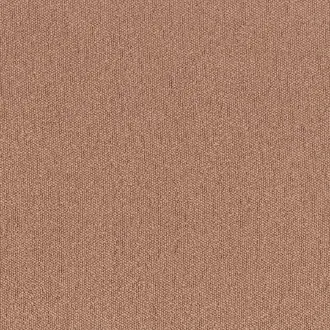 Taiga 4594 21 55