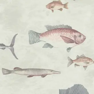 Aquatic DYW001