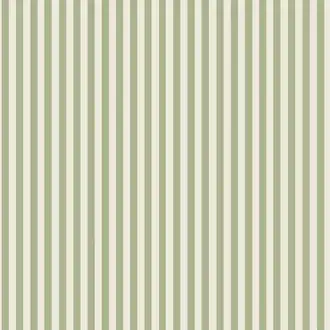 Molle Stripe 5734
