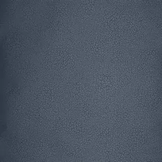 Raku EDM13