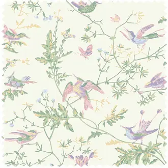 Hummingbirds Cotton