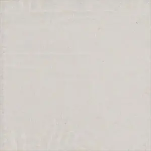 Illusion D258 11 16