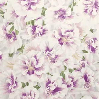 Variegated Azalea Violet PJD6004-02