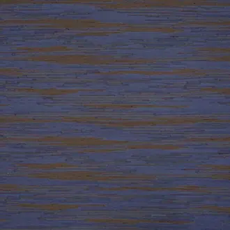 Praire Ikat JT013956-009
