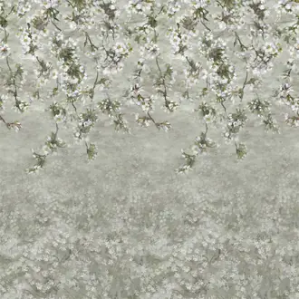 Assam Blossom PDG1133-01