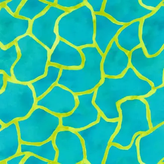 Splash Pool Z621-01