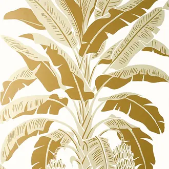 Banana Tree T13919