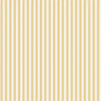 Molle Stripe 5735
