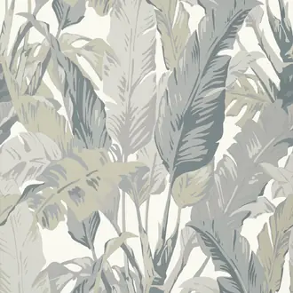 Travelers Palm T10129