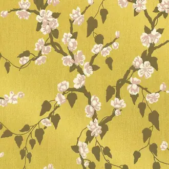 Sakura Yellow Lustre