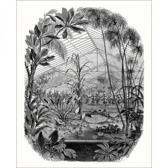 Jardin D'hiver 102399000