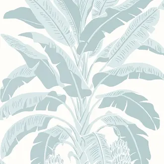 Banana Tree T13916