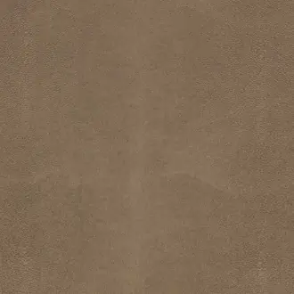 Shagreen Asteroid