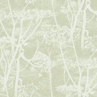 Cow Parsley 112-8029